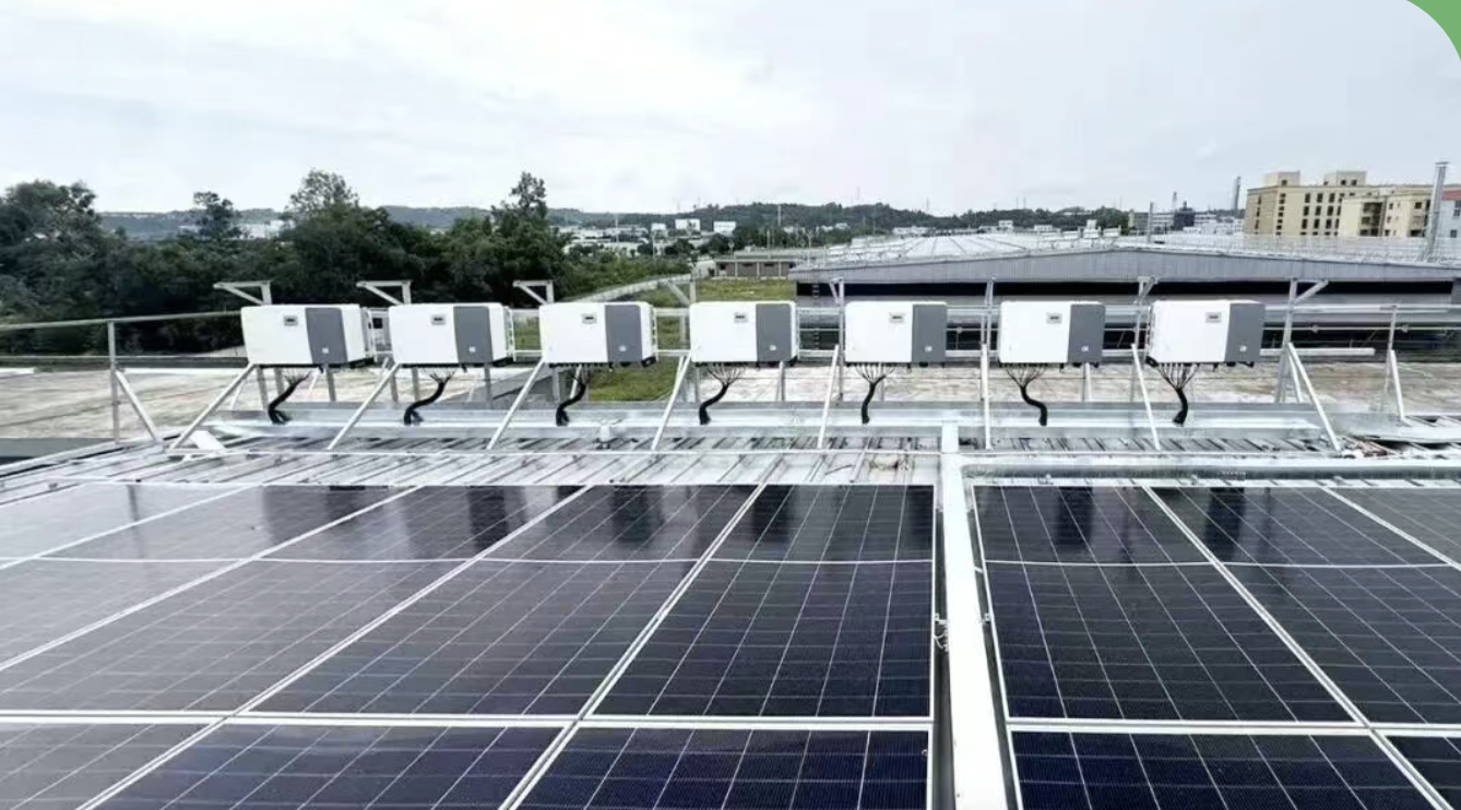 截屏2026-02-12 11.35.42.png