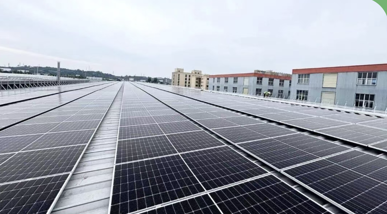 截屏2026-02-12 11.35.19.png